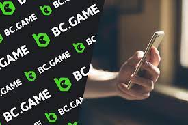 Exploring the World of Bc.G A Hub for Blockchain Gaming